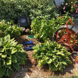 Mark Kolecke Plumbing