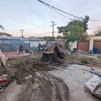 Inexpensive Tree Services - Tree Services Near Me - Los Angeles, California