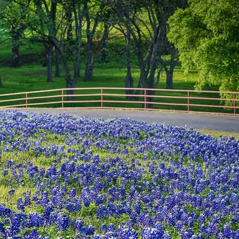 Legend Texas Properties - Real Estate Services Near Me - Chappell Hill, Texas