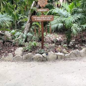Holistika - Entrada - Yoga Near Me - Tulum, ROO