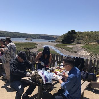 Hog Island Oyster - Steph H and Harvey K and me shucking away! - Seafood Near Me - Marshall, California