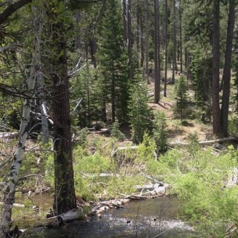 Commemorative Emigrant Trail - Hiking Near Me - Truckee, California