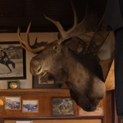 Cowpuncher's Cafe & Catering - Moose head