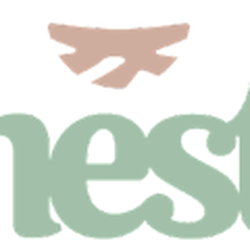 Nest Dental
