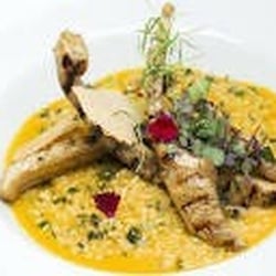 Micaela - Risoto de tucupi e jambu com costelinha de tambaqui.