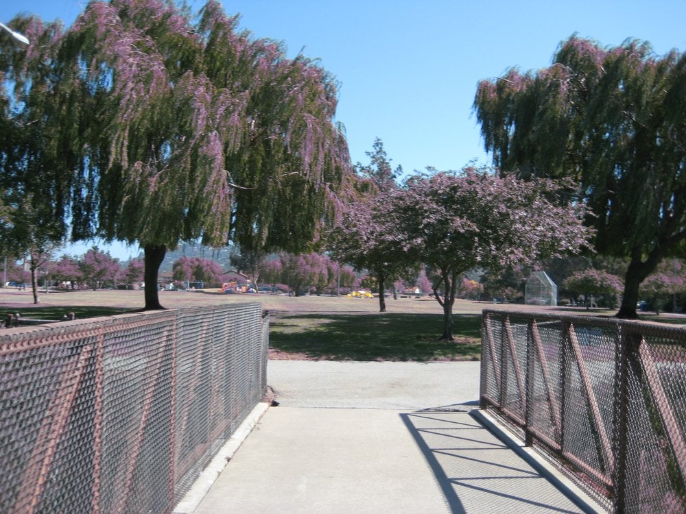 Slide of Ideal Services