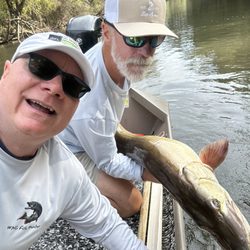Musky