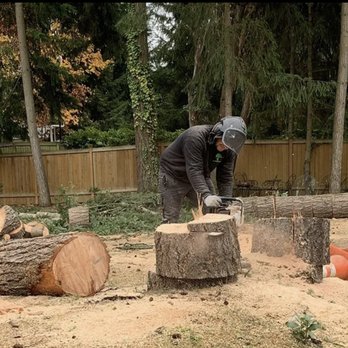JMV Professional Tree Service - Tree Services Near Me - Covington, Washington JMV Professional Tree Service - Tree Services Near Me - Covington, Washington