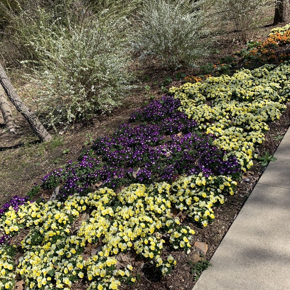 Tulsa Botanic Garden - Flowers in kid's area - Botanical Gardens Near Me - Tulsa, Oklahoma