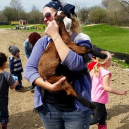 Getting some goat love Getting some goat love