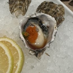 Fresh oysters, $3.5 each