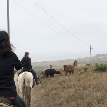 Five Brooks - Horseback Riding Near Me - Bodega Bay, California