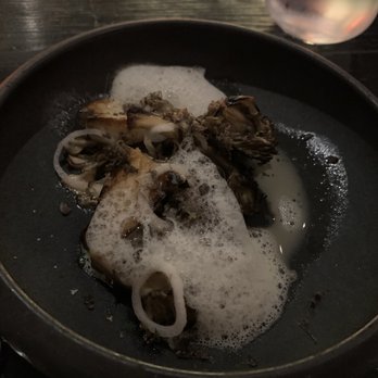 Stubborn Seed - RICOTTA GNUDI & GRATITUDE GARDEN MUSHROOM - New American Near Me - Miami Beach, Florida Stubborn Seed - RICOTTA GNUDI & GRATITUDE GARDEN MUSHROOM - New American Near Me - Miami Beach, Florida