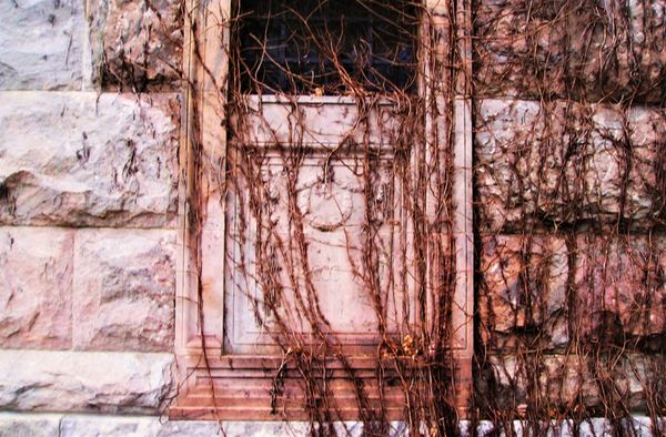 Woodlawn Cemetery • Conservancy by null