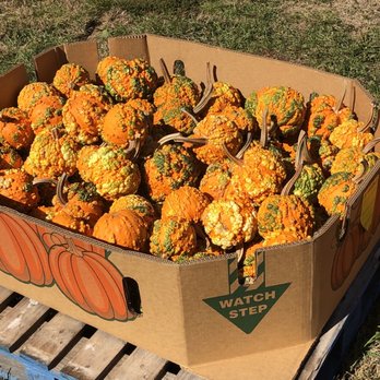 Sunny Acres Farm - Farmers Market Near Me - Louisville, Kentucky Sunny Acres Farm - Farmers Market Near Me - Louisville, Kentucky