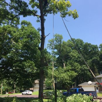 Cruz tree services - Tree Services Near Me - Wauconda, Illinois Cruz tree services - Tree Services Near Me - Wauconda, Illinois