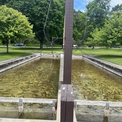 Powder Mills Park