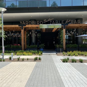Yardbird - Patio - Southern Near Me - Dallas, Texas Yardbird - Patio - Southern Near Me - Dallas, Texas