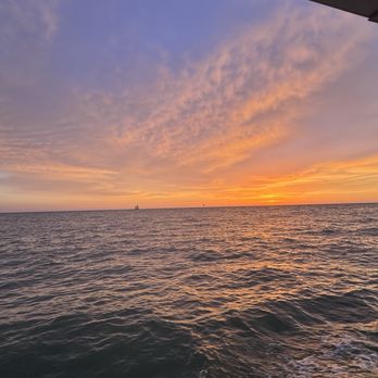 Encounter With Dolphins - Boating Near Me - Clearwater, Florida
