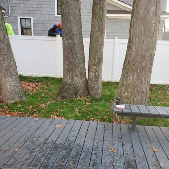 All Island Tree Service - Tree Services Near Me - Freeport, New York