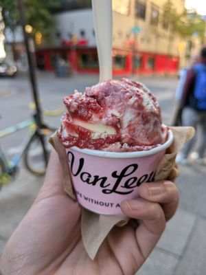 Van Leeuwen Ice Cream by null