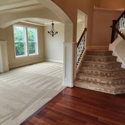 Checkmate Carpet Cleaning