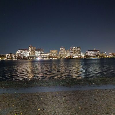 Charles River Esplanade by null
