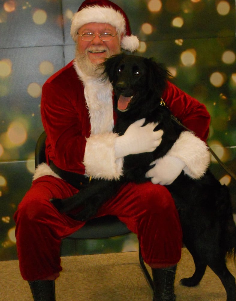 PLEASANT VALLEY PET GROOMING Updated September 2024 7124 Pleasant