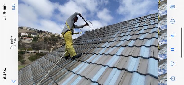 ROOF CLEANING SERVICES - There's nothing we can't do, feel free to reach out and request a quote today! ROOF CLEANING SERVICES - There's nothing we can't do, feel free to reach out and request a quote today!