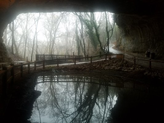 Cave Vineyard by null