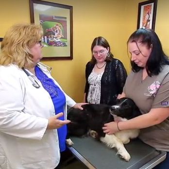 somerset animal hospital somerset ky