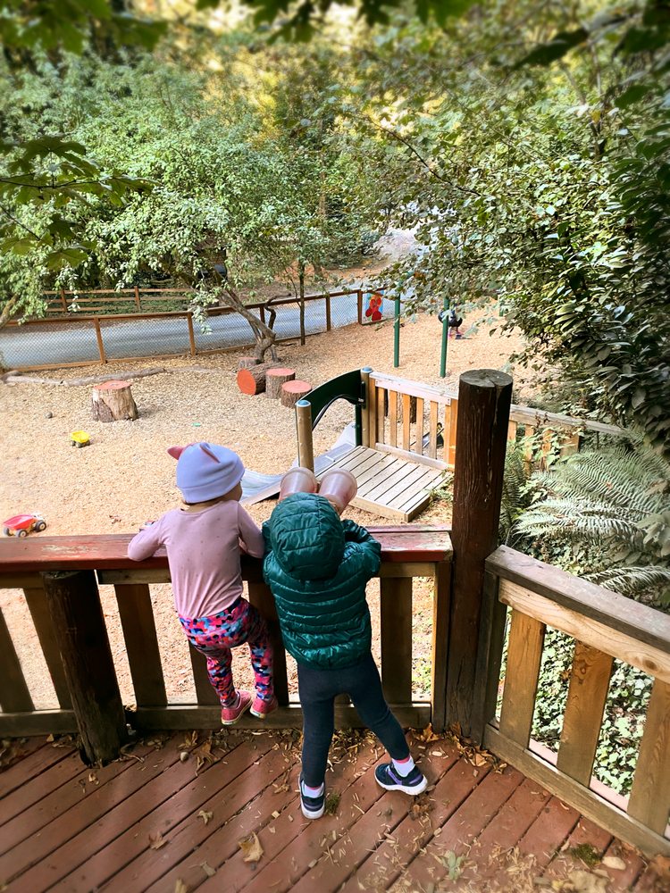 The Children's Garden School - childcare center in Issaquah, WA