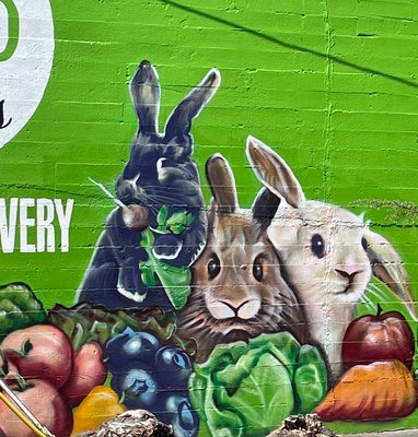 Crisp Salads Division by null