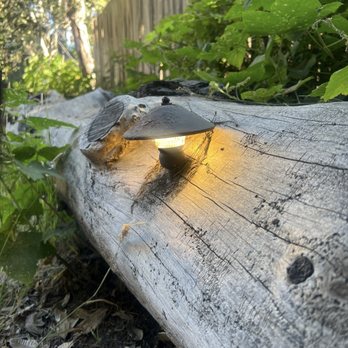 Mendocino Grove - Cute lighting - Campgrounds Near Me - Mendocino, California Mendocino Grove - Cute lighting - Campgrounds Near Me - Mendocino, California