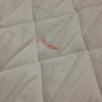 Brick Motor Inn - The stain on the padding layer - Hotels Near Me - Brick, New Jersey