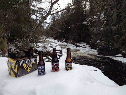 Wolverine State Brewing Co by null