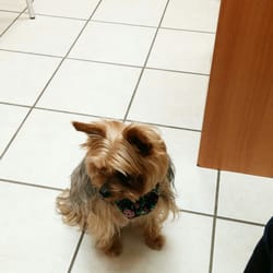 Carp Road Animal Hospital - In room waiting for the vet. :)