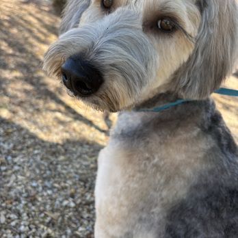 Coatology Pet Studio - Pet Groomers Near Me Coatology Pet Studio - Pet Groomers Near Me