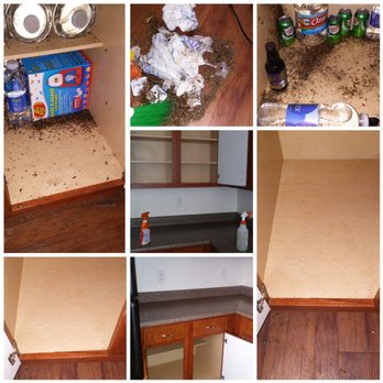 Orange Cleaning Service - We get the job done - Home Cleaning Near Me Orange Cleaning Service - We get the job done - Home Cleaning Near Me