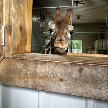 Zootastic Park - Zoos Near Me - Troutman, North Carolina Zootastic Park - Zoos Near Me - Troutman, North Carolina