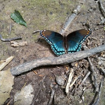 Mason Neck State Park - Parks Near Me - Lorton, Virginia