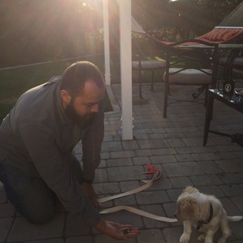 Canine Education - More training with treats. - Pet Training Near Me - San Diego, California Canine Education - More training with treats. - Pet Training Near Me - San Diego, California