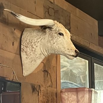 The Tipsy Oak - Gastropubs Near Me - Arlington, Texas The Tipsy Oak - Gastropubs Near Me - Arlington, Texas
