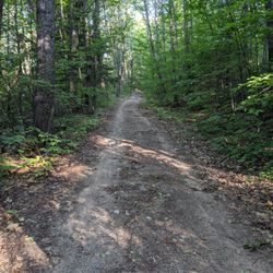 Maine Mountain Bike Adventures - Trails