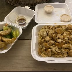 Mr. Roboto Tokyo Grill - Chicken Hibachi Fried Dumplings