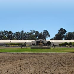 Lowe Riders Riding Academy - The home of the Lowe Riders Riding Academy