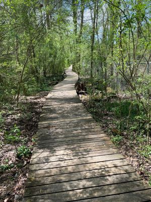 Sweetwater Creek State Park by null