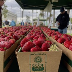 Organic berries from Rodriguez Farms