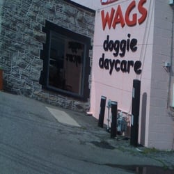Wags Doggie Daycare & Self Dogwash