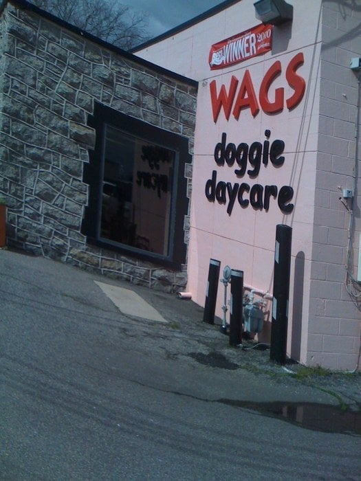 Wags Doggie Daycare & Self Dogwash - pet boarding facility in Norfolk, VA